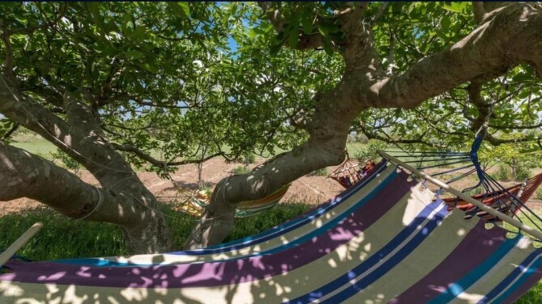 Vila Le Cernicole Melissano Exteriér fotografie