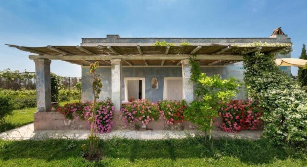 Vila Le Cernicole Melissano Exteriér fotografie