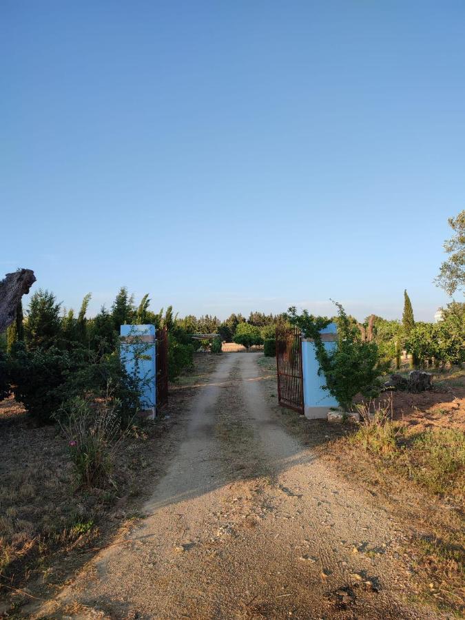 Vila Le Cernicole Melissano Exteriér fotografie