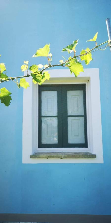 Vila Le Cernicole Melissano Exteriér fotografie